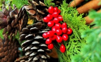 Strathcona Farmers Market