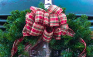 Christmas in July Ungala